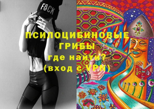 МДПВ Абинск