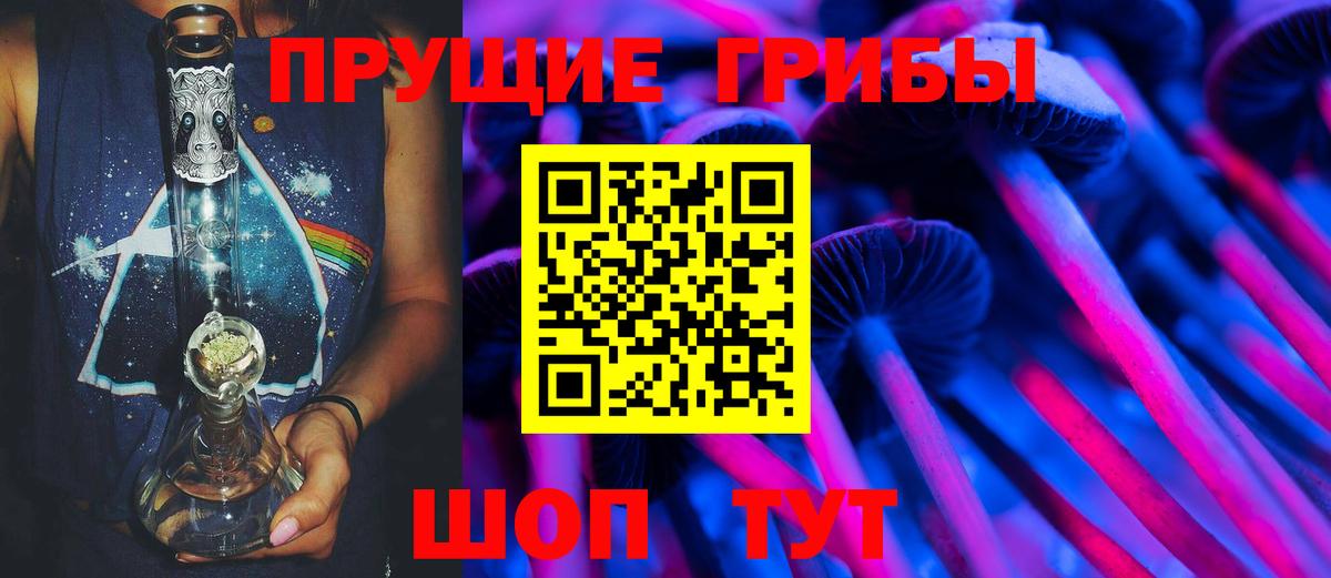 Приморско-Ахтарск  Псилоцибиновые грибы Psilocybine cubensis  Вход с VPN 