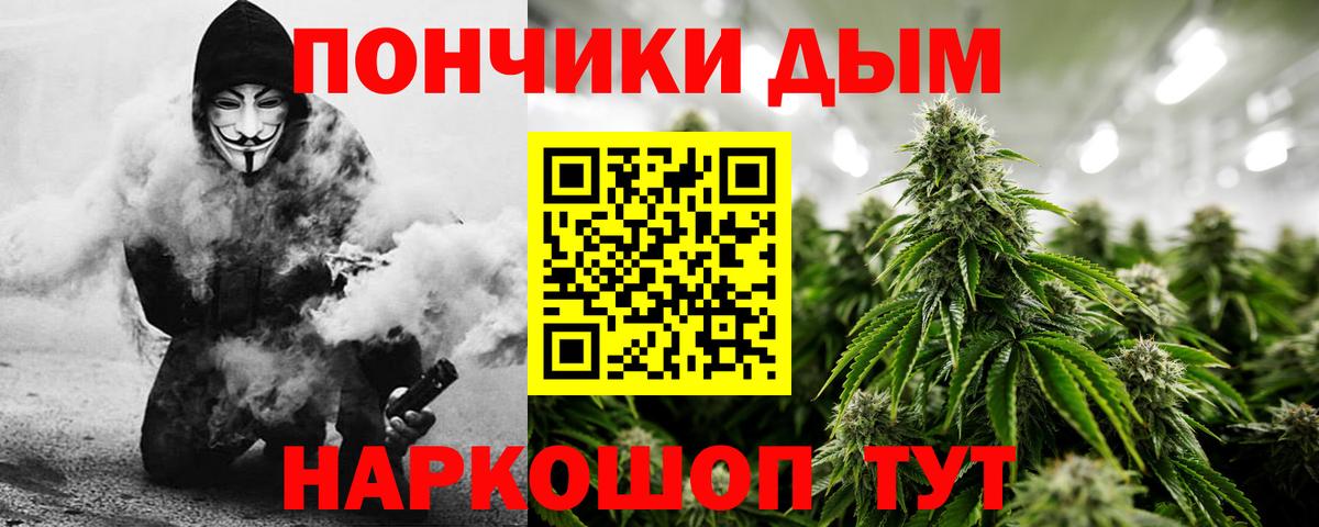 Каннабис сатива Приморско-Ахтарск